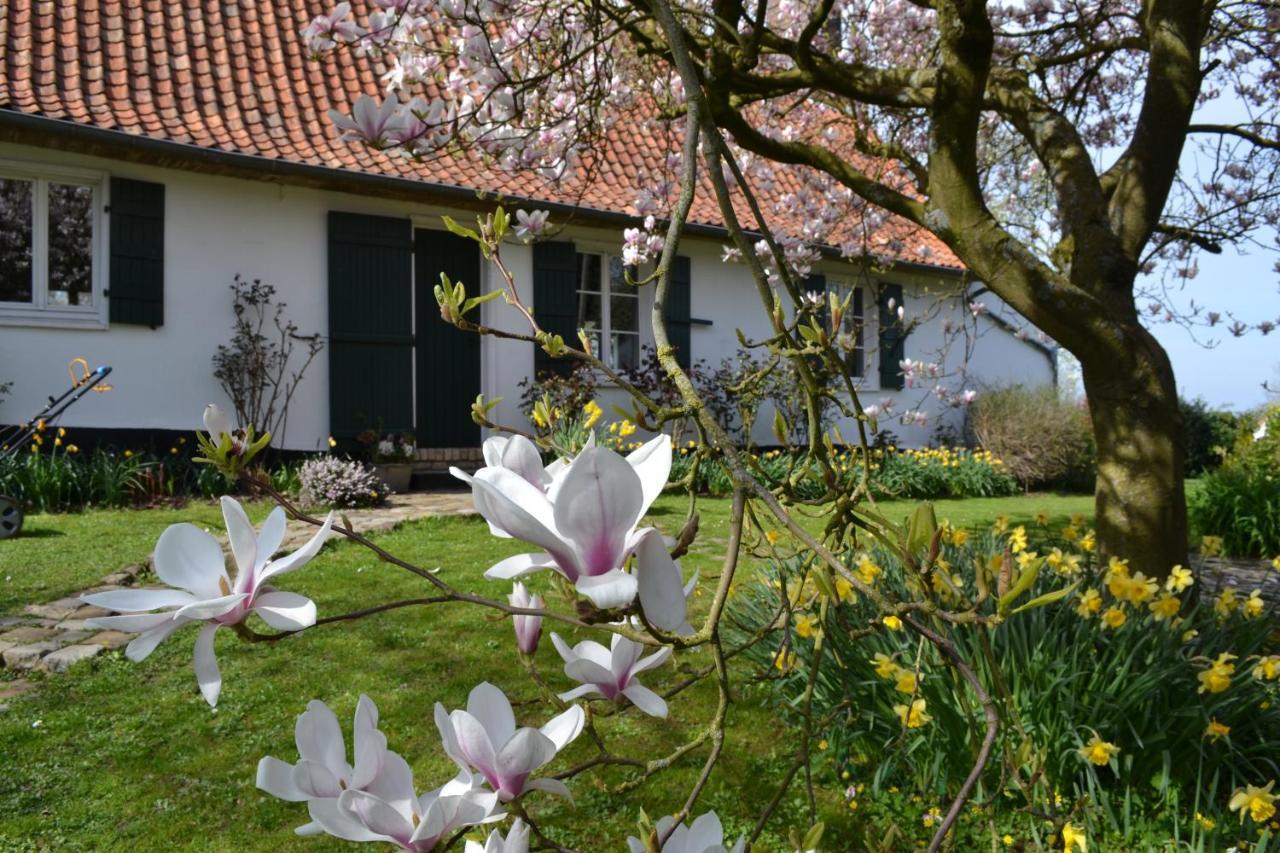 La Longere D'Ecottes Bed and Breakfast Licques Εξωτερικό φωτογραφία